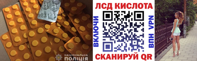как найти наркотики  мега ссылка  Лсд 25 экстази ecstasy  Грайворон 