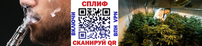 Бошки Шишки Amnesia  Грайворон 